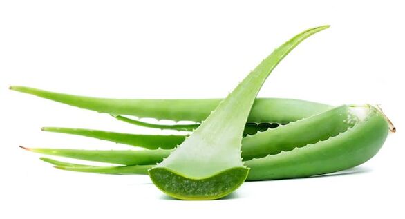 Intenkin enthält Aloe